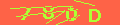Codice Captcha